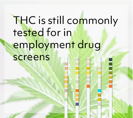 THC is still commonly tested for in employment drug screens