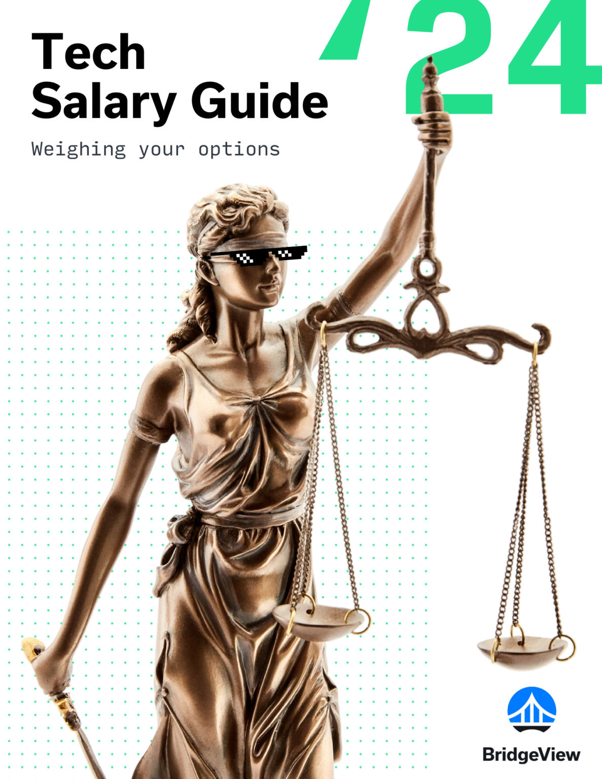 BridgeView Technology Salary Guide 2024