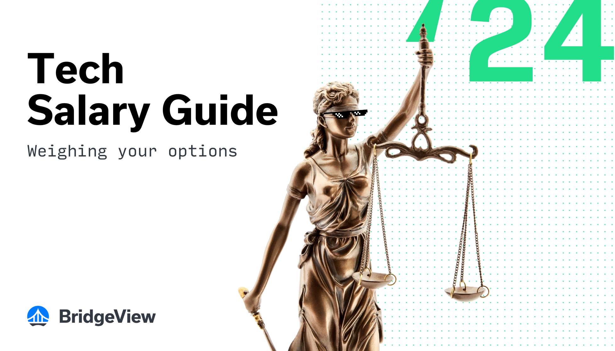 BridgeView Technology Salary Guide 2024