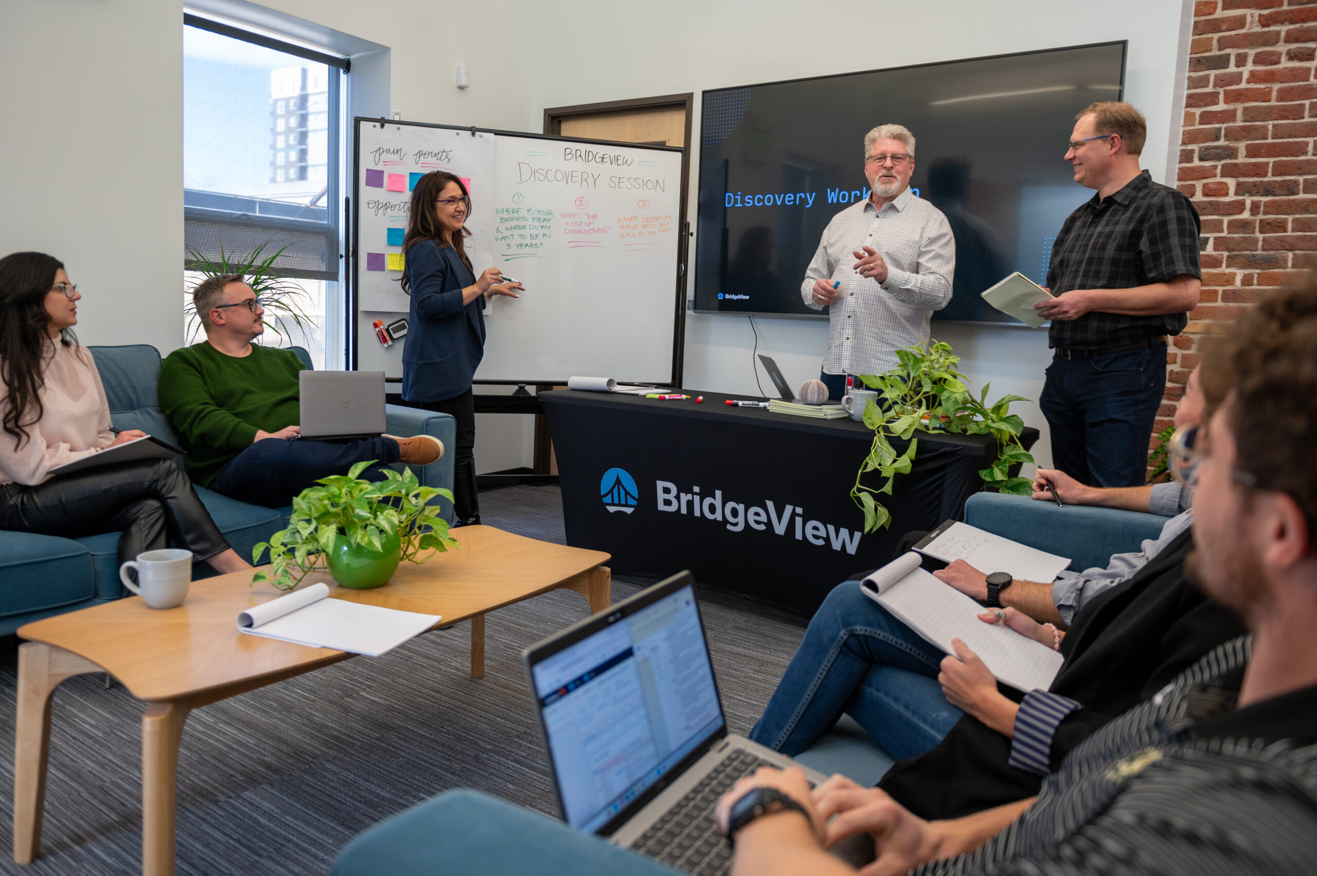 BridgeView Consulting